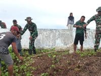 Military personnel and civilians planting vegetation to prevent coastal erosion at Mukomuko beach.