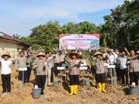 Polres Mukomuko Gelar Penanaman Uwi Ungu Dukung Program Ketahanan Pangan, Ini Keunggulannya