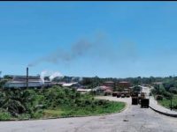 Industri CPO di Mukomuko Goyang, Perusahaan Mulai PHK Karyawan