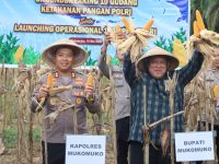 Polres Mukomuko Gelar Panen Raya Jagung Kuartal II, Dukung Ketahanan Pangan Nasional