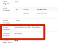 Begini Analisis Gemini AI Terkait Pengadaan Penambah Daya Tahan Tubuh di APBD Mukomuko Namun Spesifikasinya Nasi Kotak