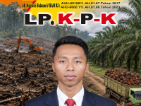 Korbankan Masyarakat Kecil, Modus Para Cukong Sulap Hutan Negara di Mukomuko Jadi Kebun Sawit