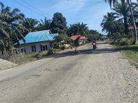 Jalan Negara Rusak Parah, Warga Pasar Sebelah Tanam Pohon Kelapa di Badan Jalan