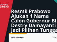 Calon Gubernur BI Destry Damayanti diajukan Prabowo sebagai kandidat tunggal melalui Surpres ke DPR