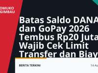 Limit DANA dan GoPay 2026 dengan batas saldo hingga Rp20 juta
